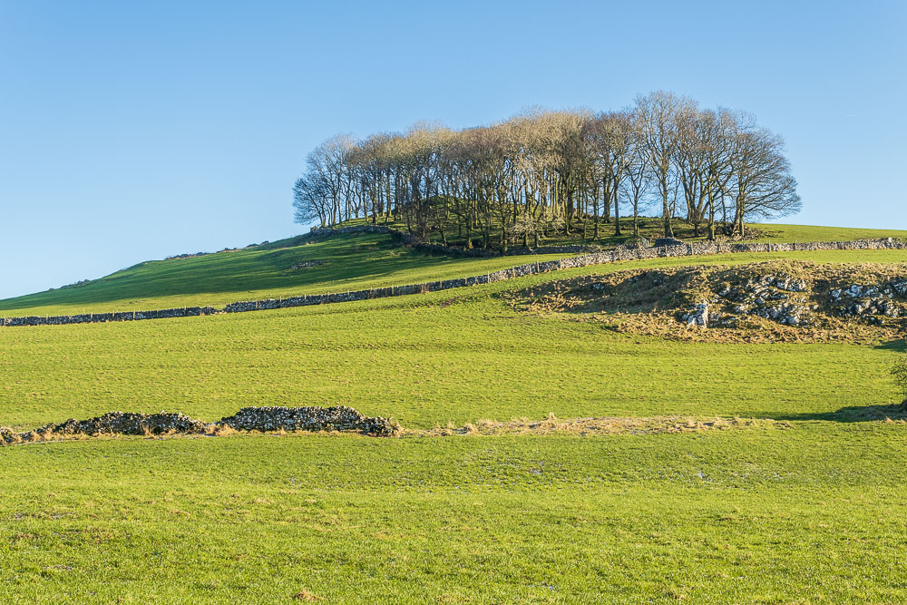 Low Plantation